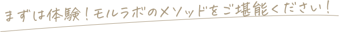 まずは体験！モルラボのメソッドをご堪能ください！